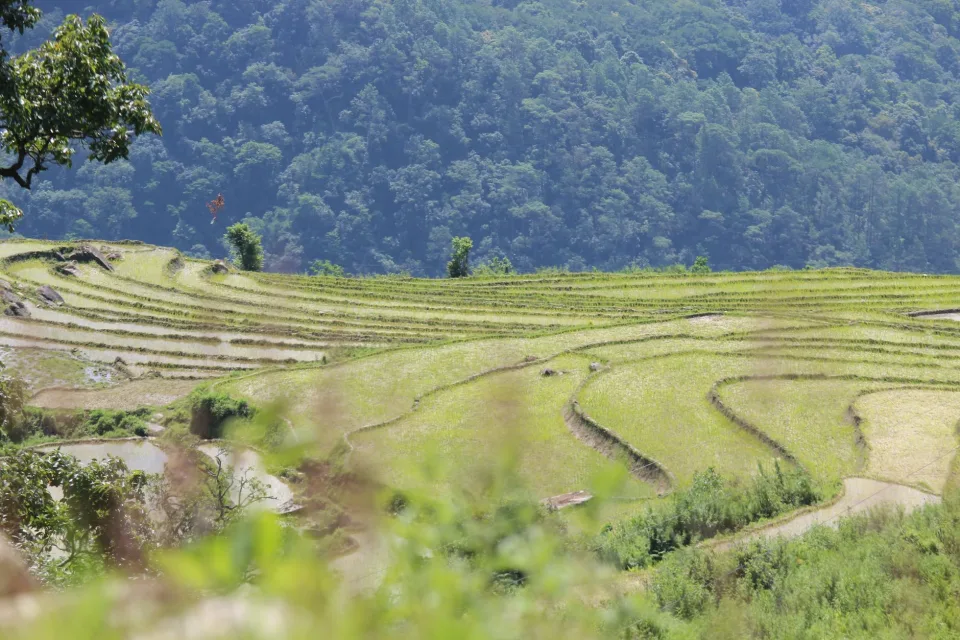 Kho gạo của Dương Tấn Tài